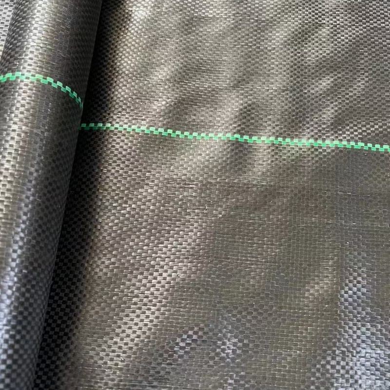 product-800-800 product-800-800